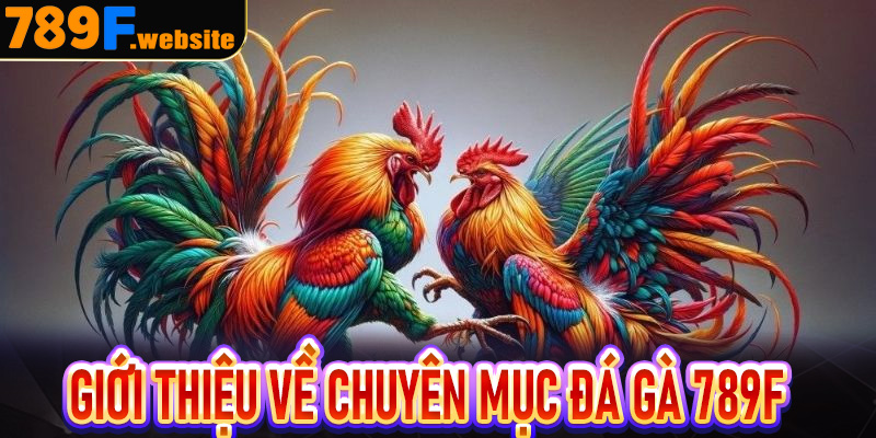 Giới thiệu về chuyên mục đá gà 789F