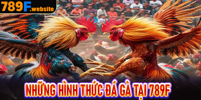 Những hình thức đá gà tại 789F