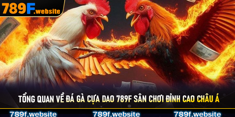 Tổng quan về Đá Gà Cựa Dao 789F sân chơi đỉnh cao châu Á