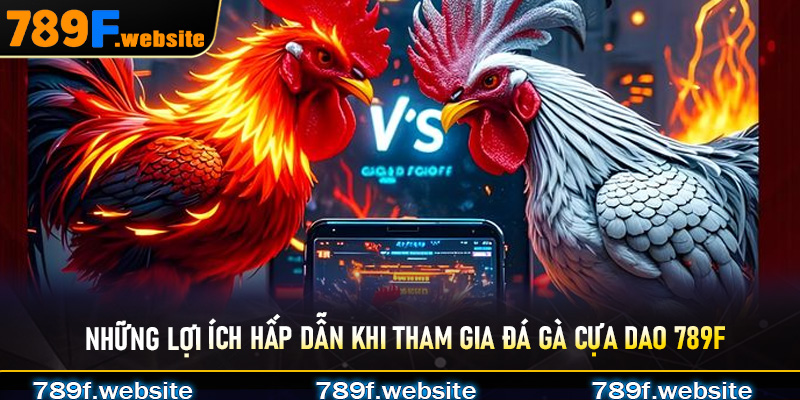 Những lợi ích hấp dẫn khi tham gia đá gà cựa dao 789F