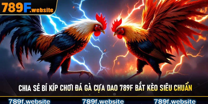Chia sẻ bí kíp chơi đá gà cựa dao 789F bắt kèo siêu chuẩn