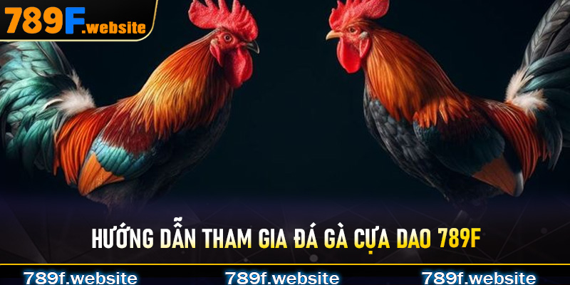 Hướng dẫn tham gia đá gà cựa dao 789F một cách đơn giản và minh bạch