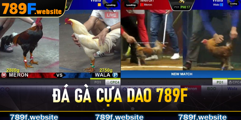 Đá Gà Cựa Dao 789F