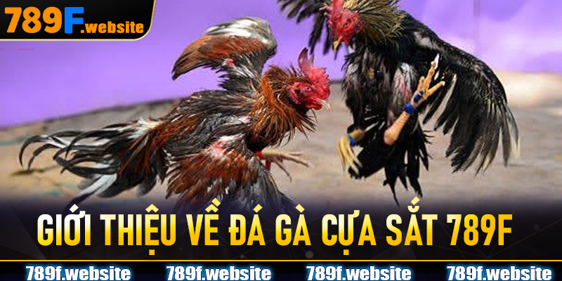 Giới thiệu về Đá Gà Cựa Sắt 789F