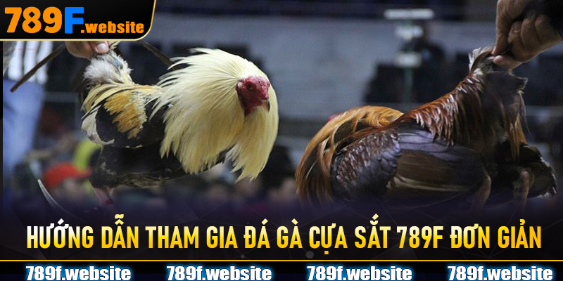 Hướng dẫn tham gia Đá Gà Cựa Sắt 789F đơn giản