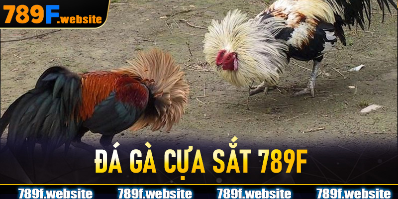 Đá Gà Cựa Sắt 789F